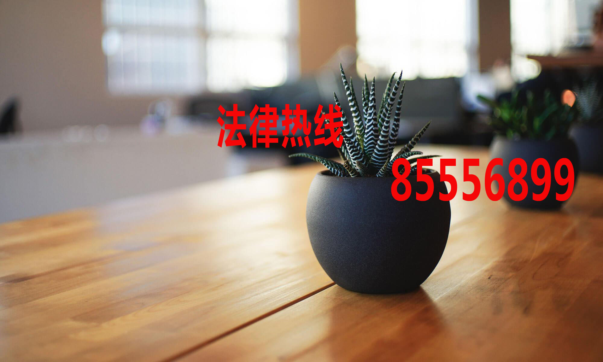 文成律师15356291688_温州市文成县律师